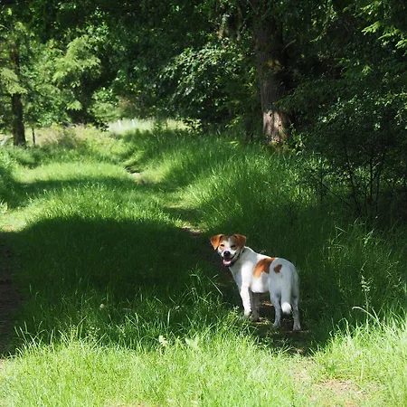 Hotel Hofgut Schmitte